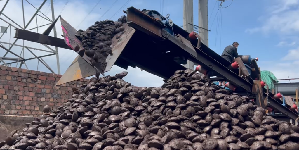 Dedusting ash briquetting