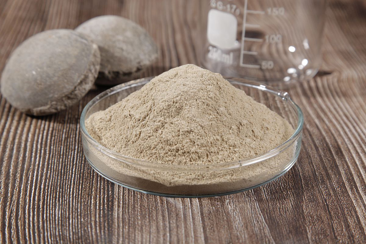 binder for phosphate powder